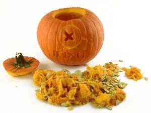Pumpkin Teardown
