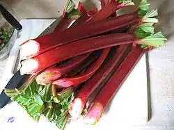 Storebought rhubarb stalks