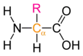 The general structure of an α-amino acid. The α-carbon is displayed in orange, and the side chain is denoted by R. This style of diagram does not indicate whether the amino acid is an L or a D enantiomer.