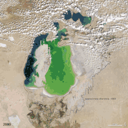 Aral sea