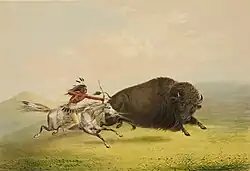 One of the biggest issues facing the move west was the destruction of the buffalo. The buffalo was worshiped by the Native Americans, however they thought the settlers were wasteful and careless with this animal.