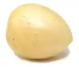 pepino