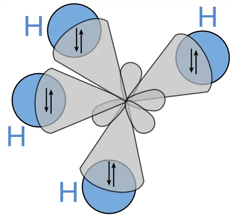 A schematic presentation of hybrid orbitals overlapping hydrogen atoms' s orbitals