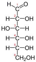 The Fischer projection of the chain form of D-glucose
