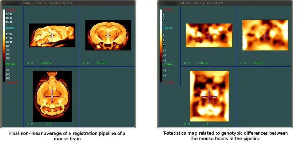Display MINC toolkit overlay images input