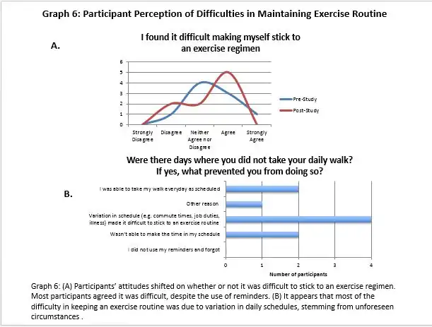 Participant Perception of Difficulties in Maintaining Exercise Routine