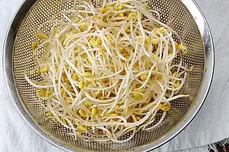 Soy bean sprouts