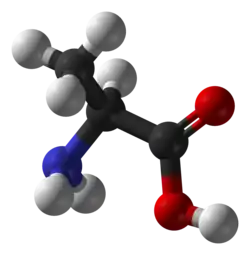 L-alanine