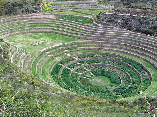 Ruins of an Incan farm.