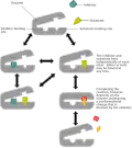 Illustration of a possible mechanism of non-competitive or mixed inhibition