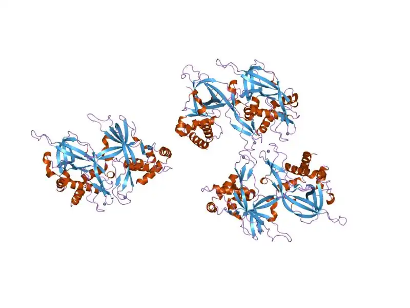 PDB 1ltl EBI
