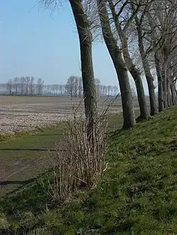 Polder
