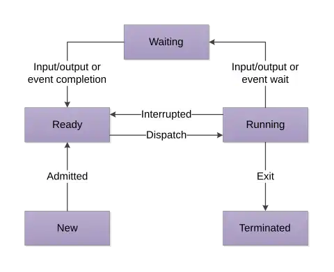 The process life cycle