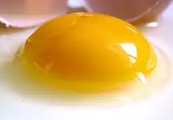 Yellow Egg Yolk