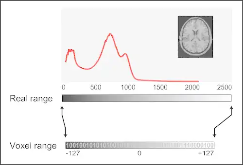 Real to Voxel Intensity Mapping