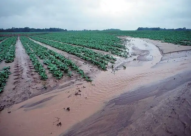Soil Erosion by Water