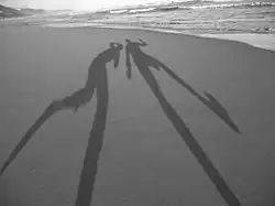 Shadows-in-the-sand.jpg