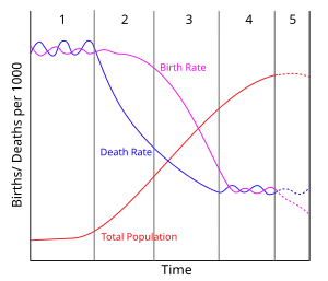 The demographic transition model, which is used in demography to predict the developmental patterns of countries
