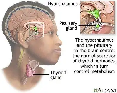 ThyroidImage