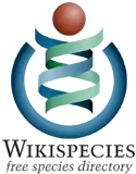 Wikispecies logo