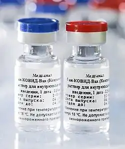 Sputnik V COVID-19 vaccine
