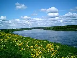 View of the Oka, Yasnogorsky District