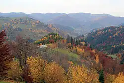 Carpathians near Hramotne