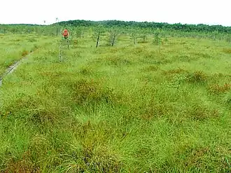 Politovsky Zapovednik