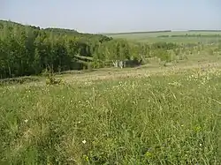 Scene in Belogorye Nature Reserve, in Borisovsky District