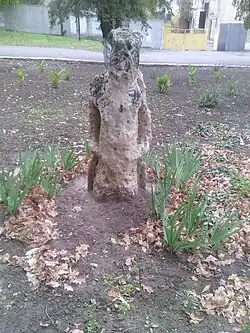 Cuman kurgan stele in Velyka Lepetykha