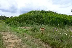 Shinbaru-Nuyama Kofun No.20