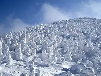 Snow monsters on Mount Zaō