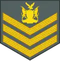 Staff sergeant (Namibian Army)[35]