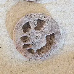 Seated figure drinking