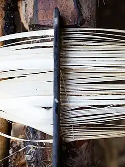 6. The fibres are then &quot;combed&quot; to separate them.