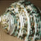 4× Fourier upsampling of 40x40px downsampled image to 160x160px (with aliasing)