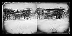 Rose Arbor in Winter, Prospect Park, Brooklyn, c. 1872–1887. George Bradford Brainerd