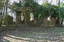 Ruin of the director's house.