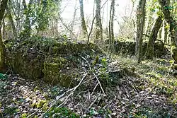 The ruins of Wilson's Well.