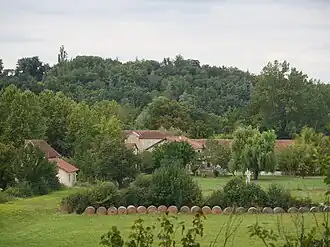 General view of Riguepeu.