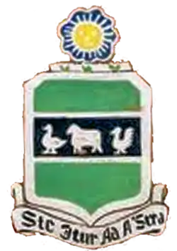 21st Airship Group DUI