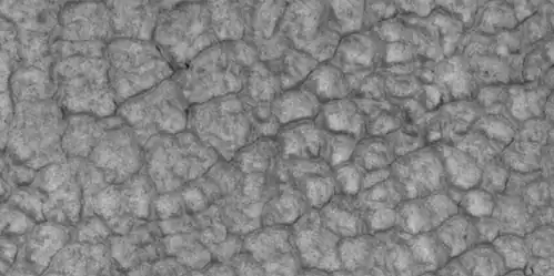 Close-up of high center polygons seen by HiRISE under HiWish program Troughs between polygons are easily visible in this view. Location is Ismenius Lacus quadrangle.