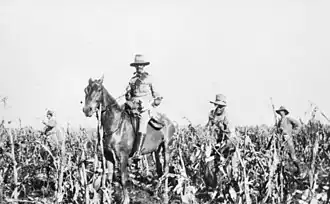 Troops of 1st Battalion, Australian Commonwealth Horse in the Transvaal, 1902.