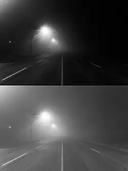 By night. Top: human; bottom: wider view