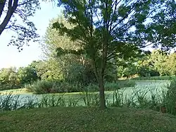 Landscape near Pilis