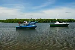 A lagoon surrounded by a mangrove forest used by a fishing community in Caibarién, Villa Clara Province, Cuba