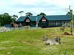 Spirit of Africa has many animals together similar to their natural environments.