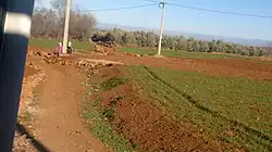 Dirt road going through farmland. A couple of women can be seen walking down the road.