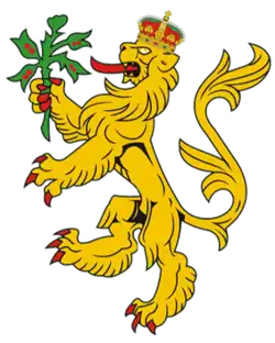 Shirt badge/Association crest