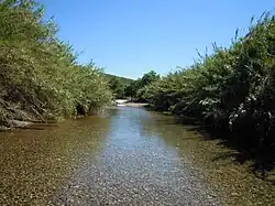 Clear water of the river in the springtime